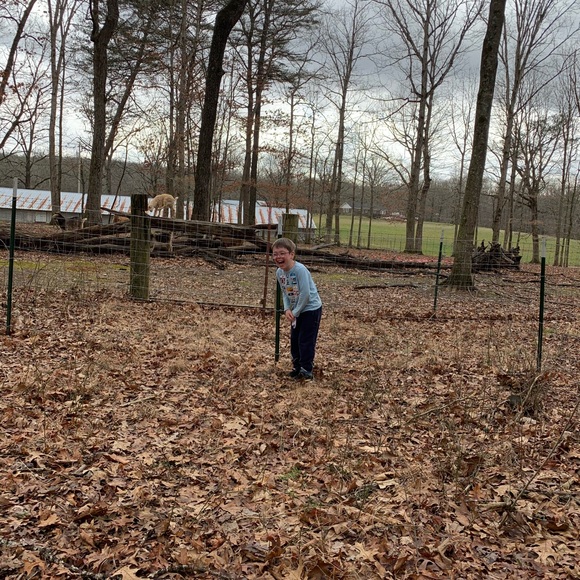 Aden + Anais leader of the pack stroller blanket - Picture 4 of 6